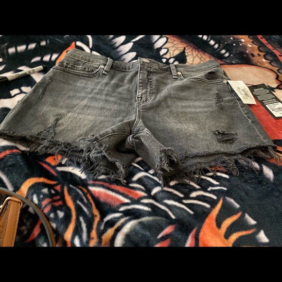 Hudson Gemma Shorts - Picture 9 of 10